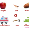 Phonics A to Z Flashcards alphabet learning cards for early reading