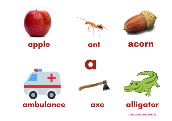 Phonics Flashcards