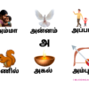Tamil Alphabet Learning Flashcards Uyir Ayutha Eluthukkal Set for Kids A5 Laminated Cards