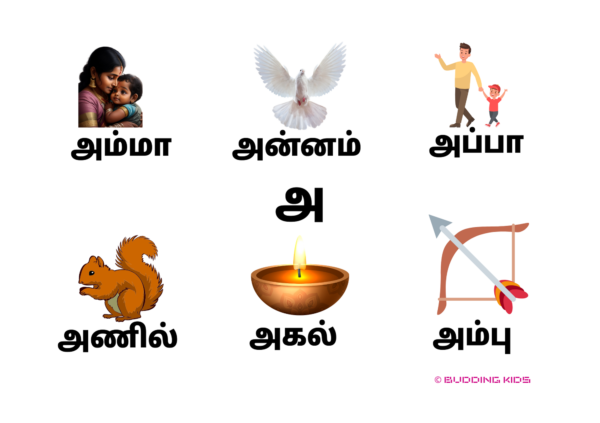 Tamil Alphabet Flashcards