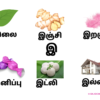 Tamil Alphabet Learning Flashcards Uyir Ayutha Eluthukkal Set for Kids A5 Laminated Cards