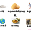 Tamil Alphabet Learning Flashcards Uyir Ayutha Eluthukkal Set for Kids A5 Laminated Cards