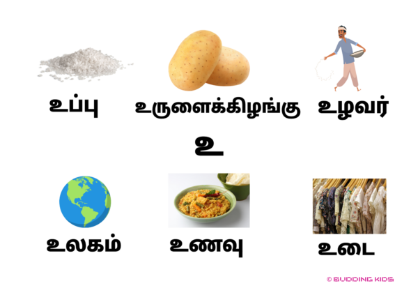 Tamil Language Learning