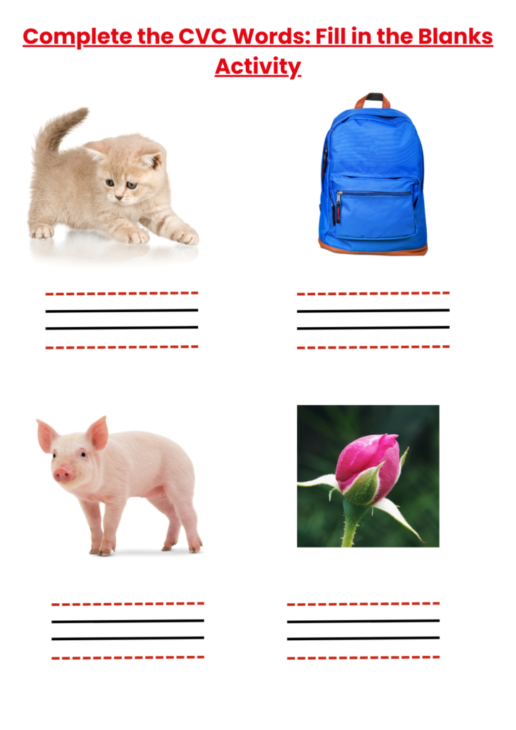 Wipe and Wonder Phonics- Level 1 Reusable Workbook – Budding Kids