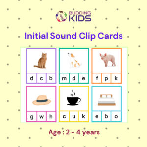 Phonics clip cards