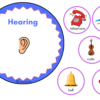 FIVE SENSES KIT